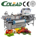 Automatic vegetable processing line/salad/IQF vegetable washing machine